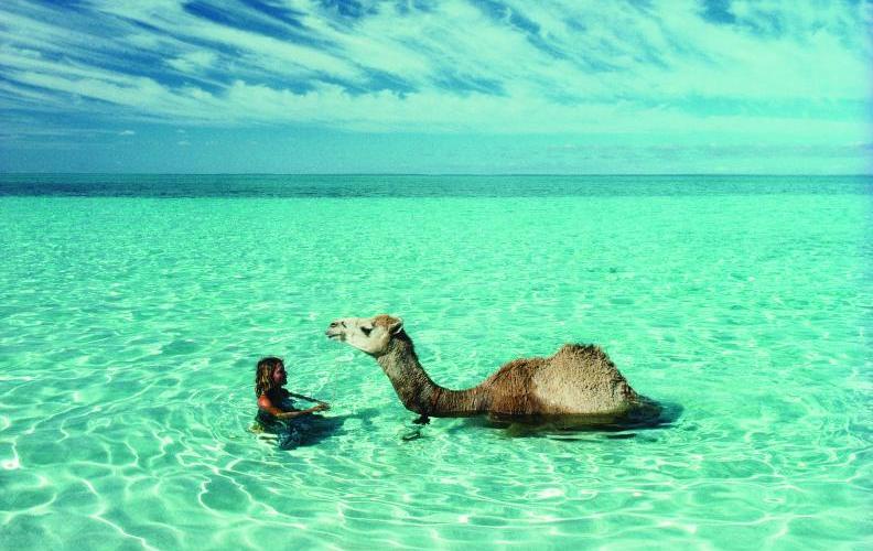 May 1, 1978: Robyn Davidson, then aged 27, with her camels on the beach in Western Australia, with the Indian Ocean behind them in the late afternoon on a perfect day when the camels got their first glimpse at the large expanse of water